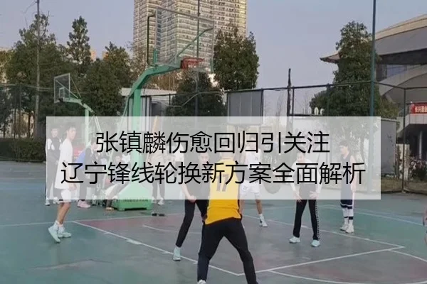张镇麟伤愈回归引关注 辽宁锋线轮换新方案全面解析